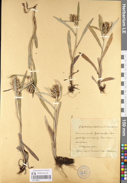 LE 01102671