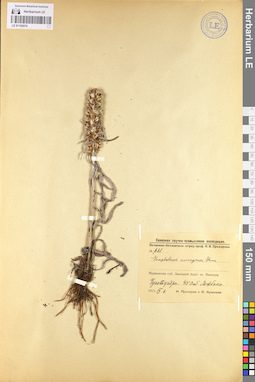 LE 01102674