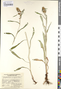 LE 01102675