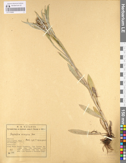 LE 01102682