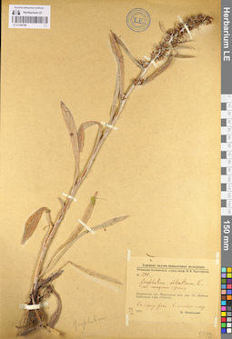 LE 01102740