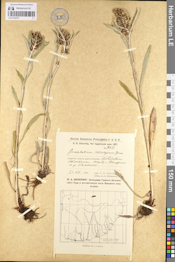 LE 01102747