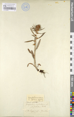 LE 01102749