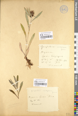 LE 01102754