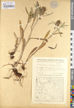 LE 01102758
