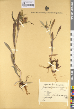 LE 01102779