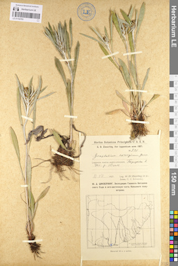 LE 01102783