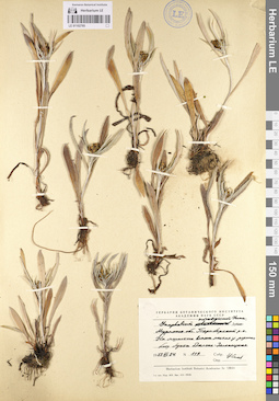 LE 01102785