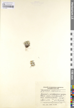 LE 01102796