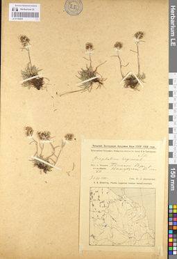 LE 01102825
