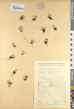 LE 01102829