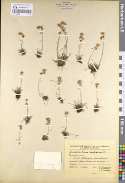 LE 01102832