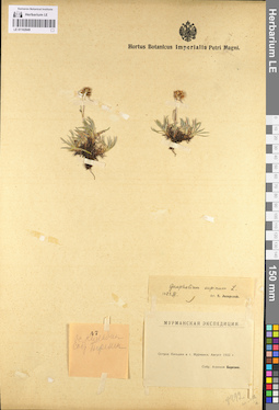 LE 01102849
