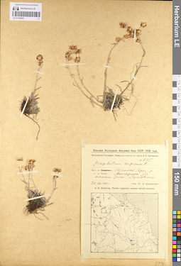 LE 01102850