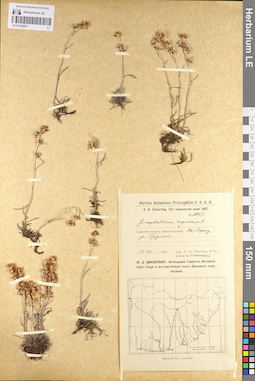 LE 01102851