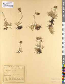 LE 01102854