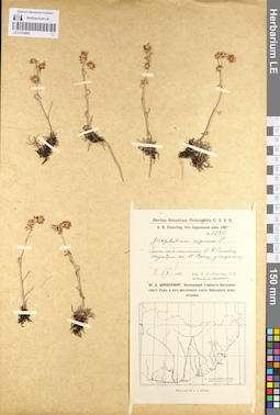 LE 01102855