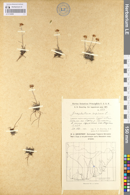 LE 01102856
