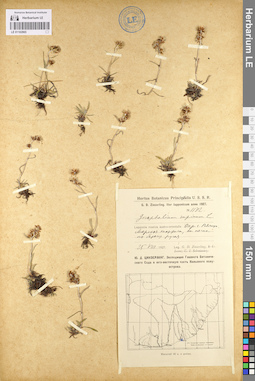 LE 01102865