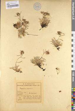 LE 01102867