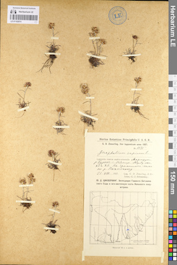 LE 01102874