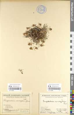 LE 01102879