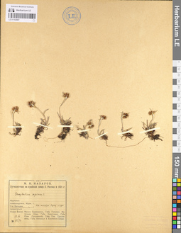 LE 01102887