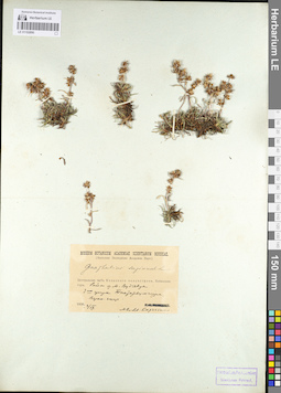 LE 01102890