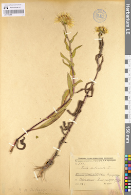 LE 01102896