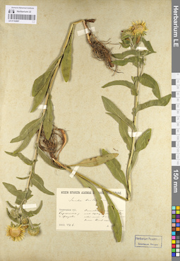 LE 01102897