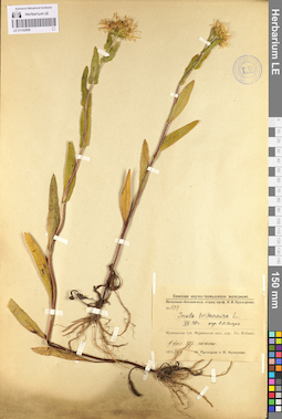 LE 01102899