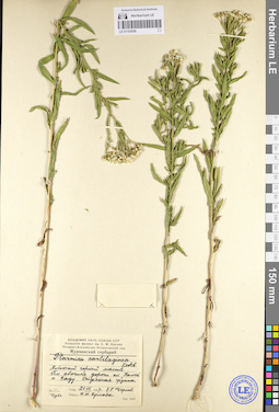 LE 01103058