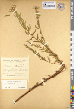 LE 01103059