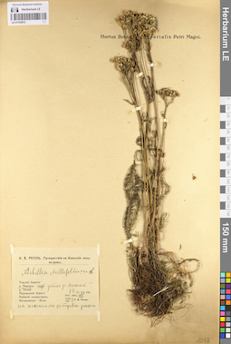 LE 01103072