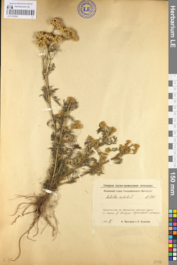 LE 01103083