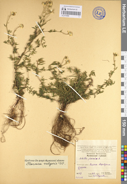 LE 01103085