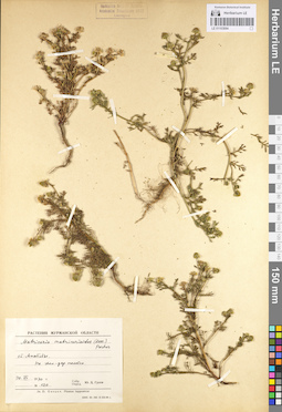 LE 01103094