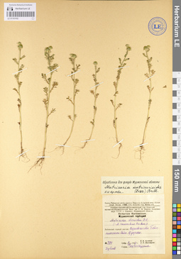 LE 01103102