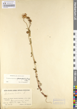 LE 01103155