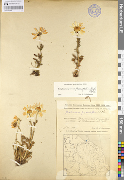 LE 01103166
