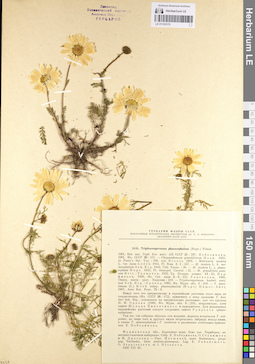 LE 01103170
