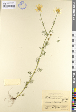 LE 01103173