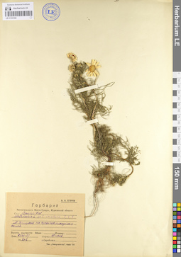 LE 01103182