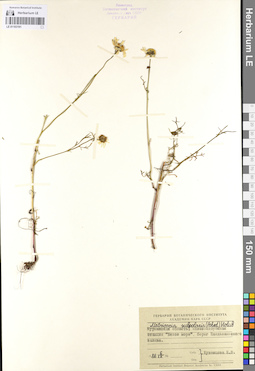 LE 01103191