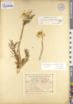 LE 01103221