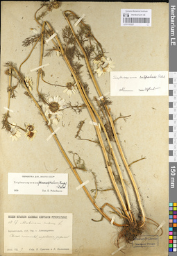 LE 01103227