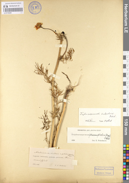 LE 01103229
