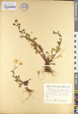 LE 01103233