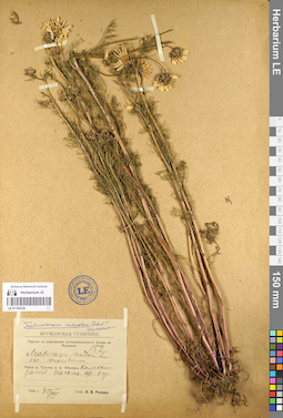 LE 01103234
