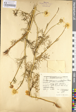 LE 01103250